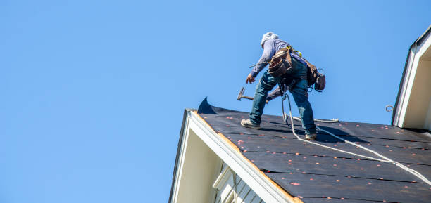 Best Metal Roofing Contractor  in Mondovi, WI